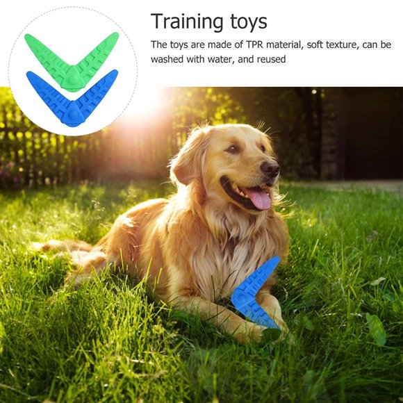 Discs Shape Pet Flying Fetch Dog Chew Toys for Interactive Play - Picture 8 of 11